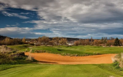 Tento tÃ½den normujeme