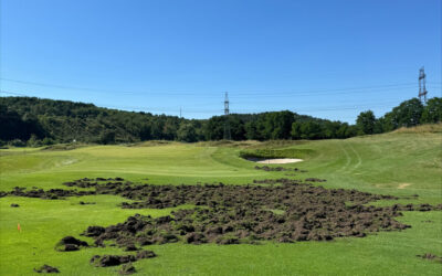 NavÅ¡tÃ­vila nÃ¡s prasata