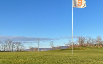 HRAJEME NA LETNÃ GREENY