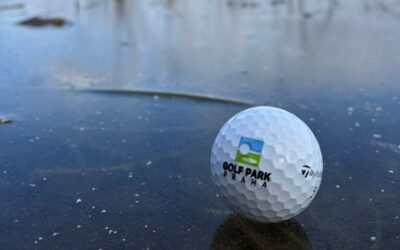 VE STÅ˜EDU 15.01. OPÄšT OTEVÃRÃME