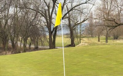 Zavedli jsme PIN POZICE podle barev vlajekâ›³